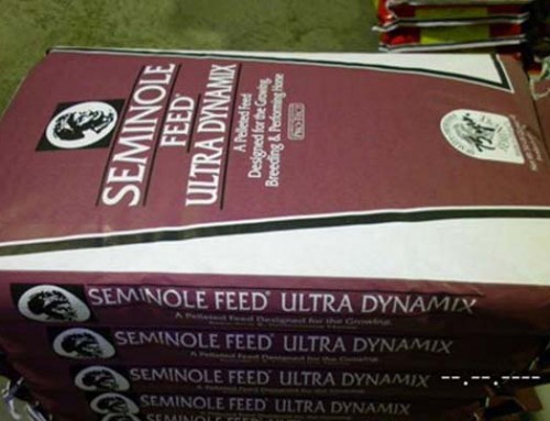 Feed – Seminole Ultra Dynamix