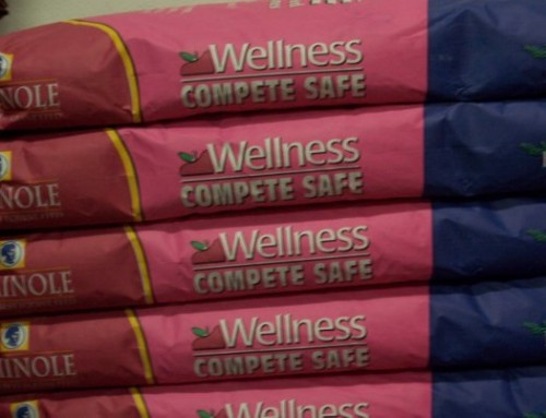 Feed – Seminole Wellness Compete Safe