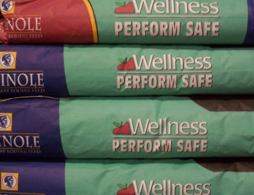 Feed – Seminole Wellness Perform Safe