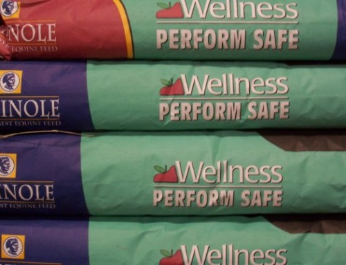 Feed – Seminole Wellness Perform Safe