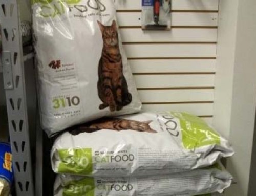 Feed – Southern States Cat Food