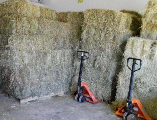 Hay Bale 11