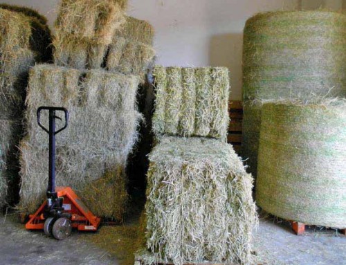 Blocks, Bales and Rounds