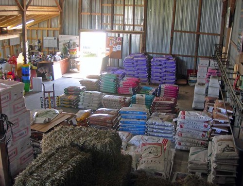 North Store Hay & Feed