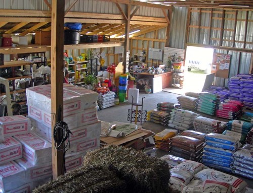 North Store Products and Feed